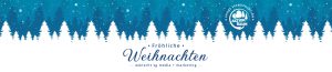 Fröhliche Weihnachten wünscht sgmedia